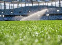 广东选手莫,家蝶空中竞,技夺,BG真人官网,BG真人视讯,BG真人娱乐,BG真人注册,BG真人平台,BG真人试玩