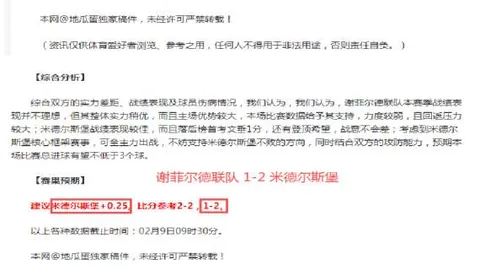 特納斯：逆轉征途，球隊不屈奮鬥獲得金牌